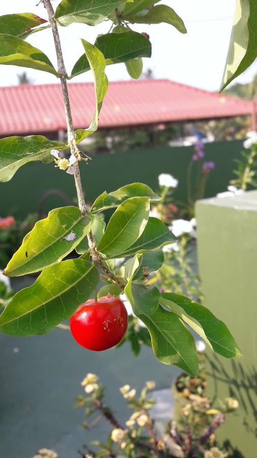 Heavenly Homestay Kochi Luaran gambar