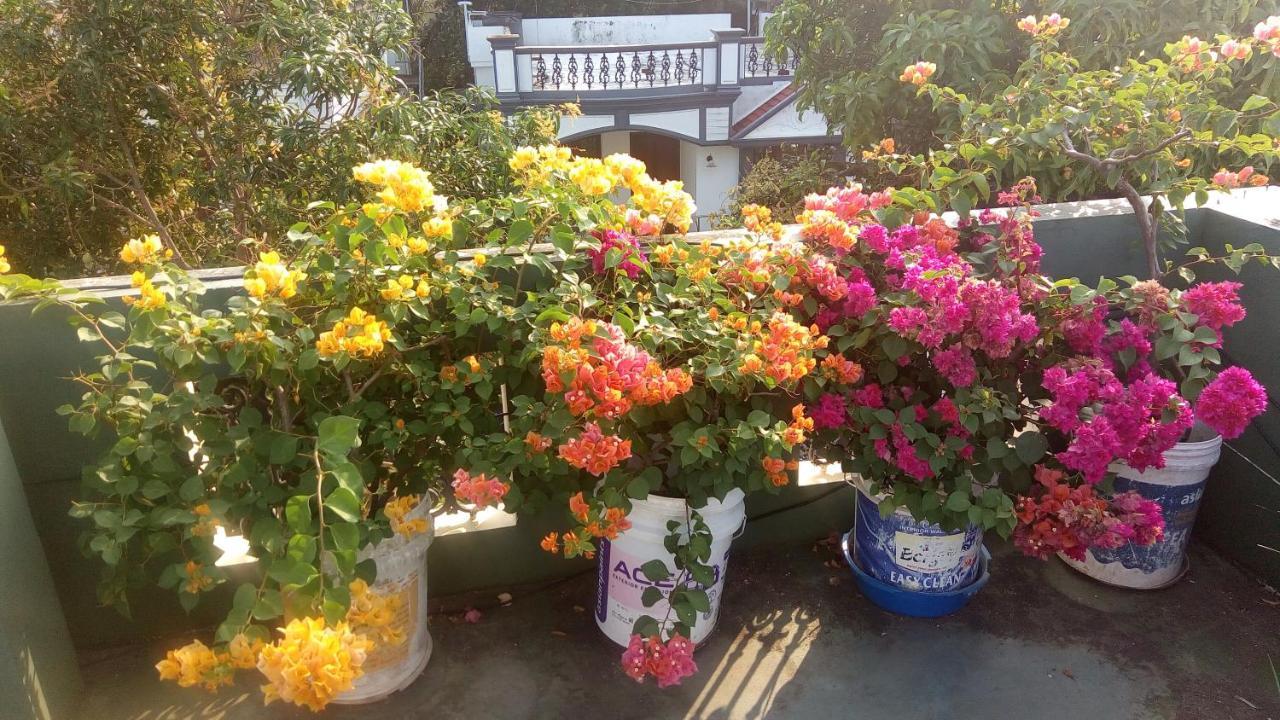 Heavenly Homestay Kochi Luaran gambar